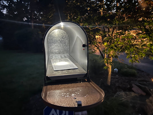 Mailbox Safety: Simple Tips Every Homeowner Should Know