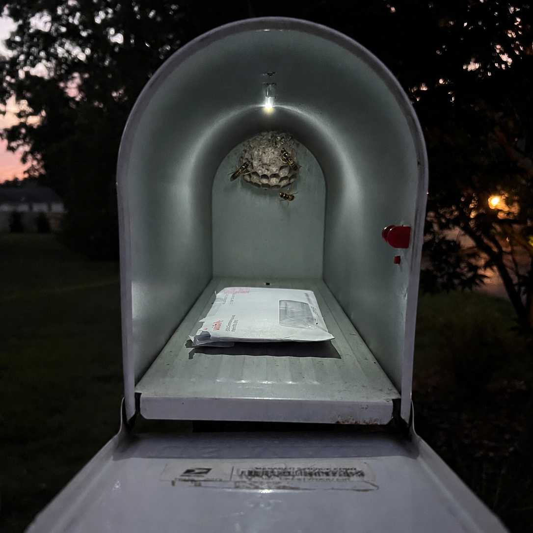 Mailbox Night Light